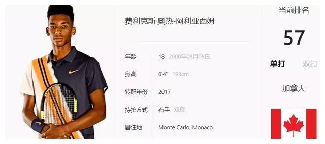 在他的职业 在他的职业